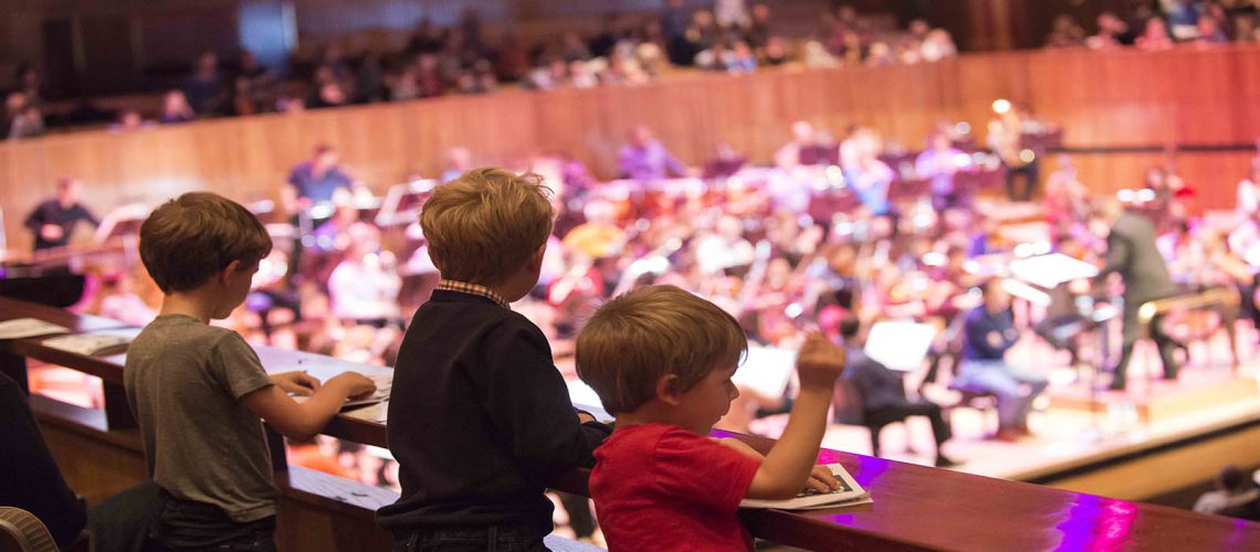 Deb Cleveland Gudema on Classical Music and Wellness