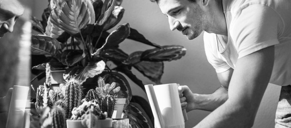 Well&Co. by Debra Gudema | Wellness Photos & Gallery